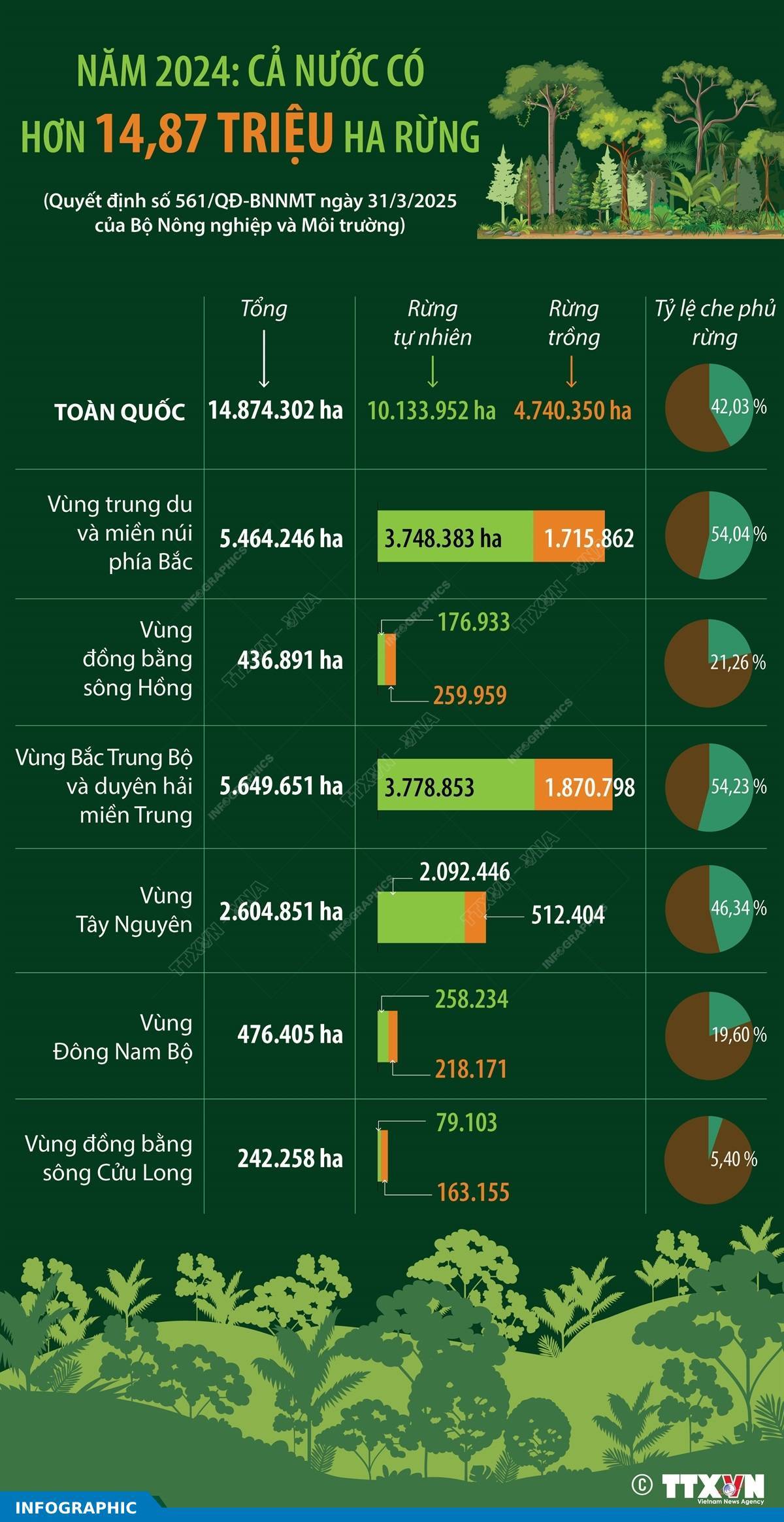 Năm 2024: Cả nước có hơn 14,87 triệu ha rừng