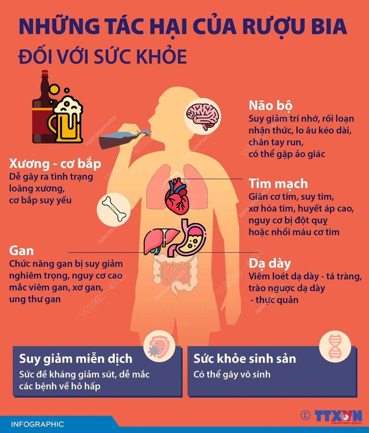 Những tác hại của rượu bia đối với sức khỏe