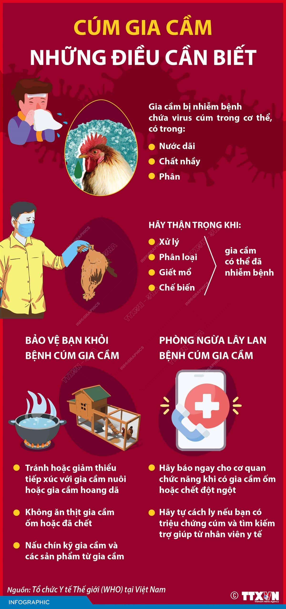 Những điều cần biết về Cúm gia cầm