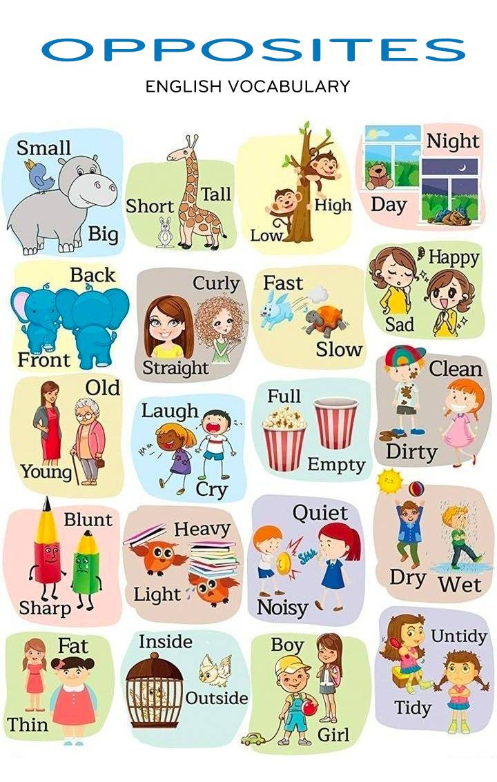 Từ vựng tiếng anh trái nghĩa
